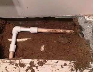 皮山测漏水哪家好