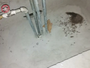 皮山卫生间测漏水价格明细