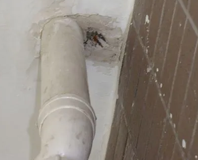 皮山漏水检测哪家好